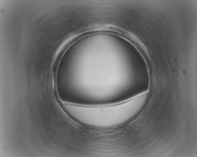 X0000080691368200612150801