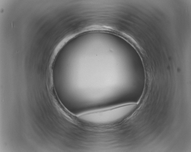 X0000080691371200612150801