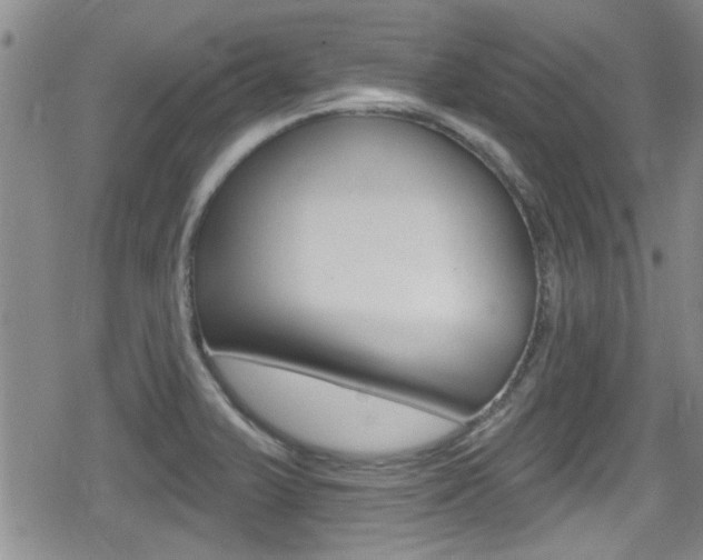 X0000080691375200612150800