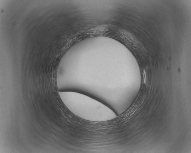X0000080691395200612150759