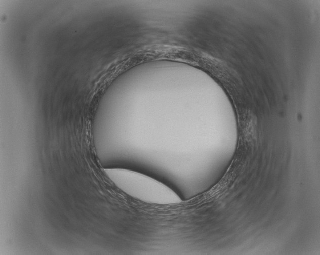 X0000080691397200612150759