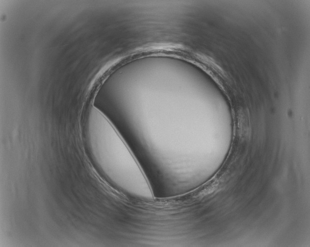 X0000080691404200612150800