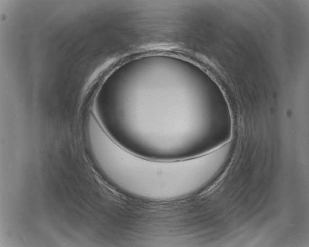 X0000080691406200612150800