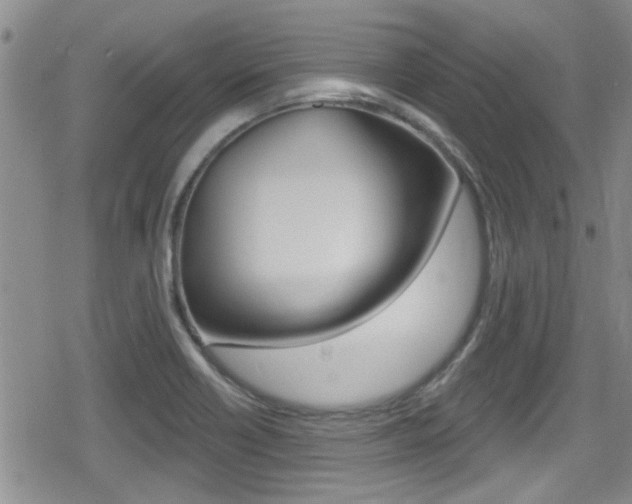 X0000080691418200612150800