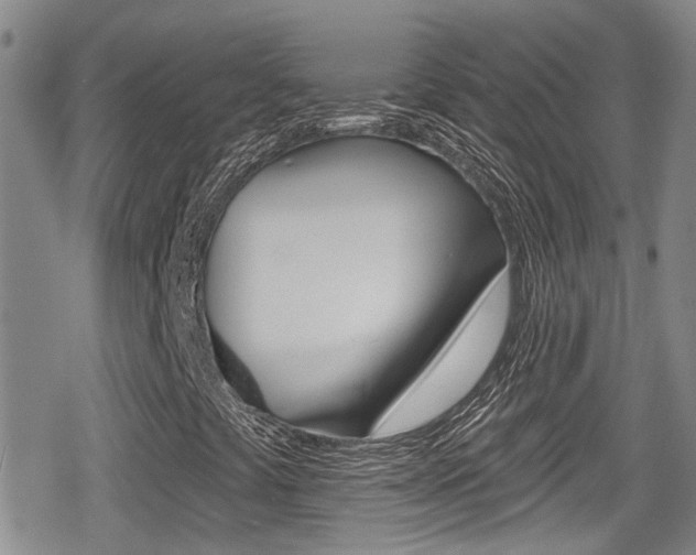 X0000080691441200612150759