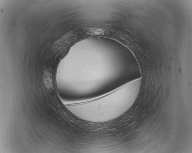 X0000080691442200612150759