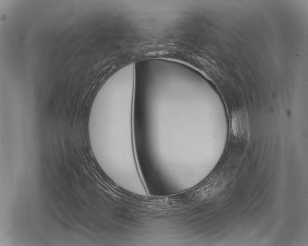 X0000080691444200612150759