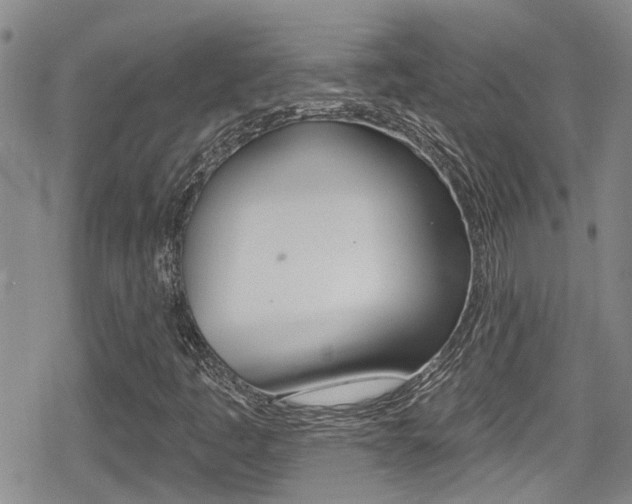 X0000080691445200612150759