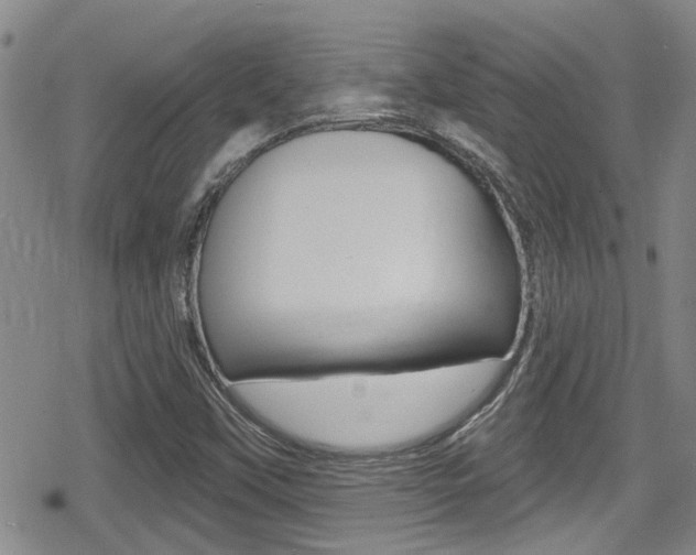 X0000080691451200612150759