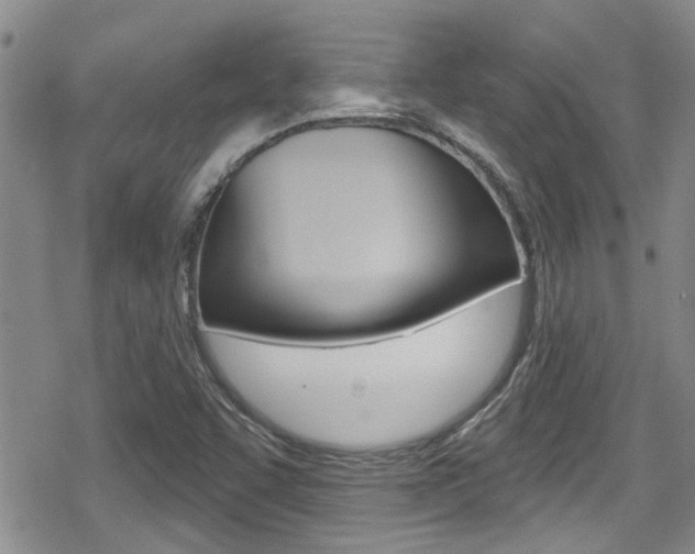 X0000080691455200612150759