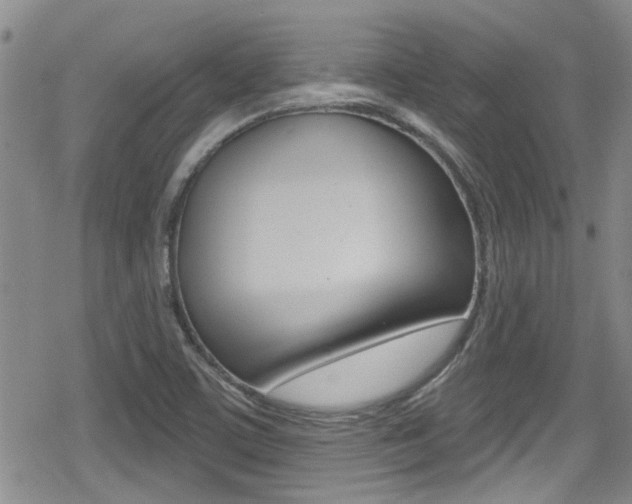 X0000080691459200612150759