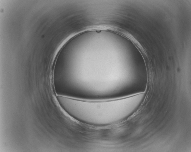 X0000080691484200612150759