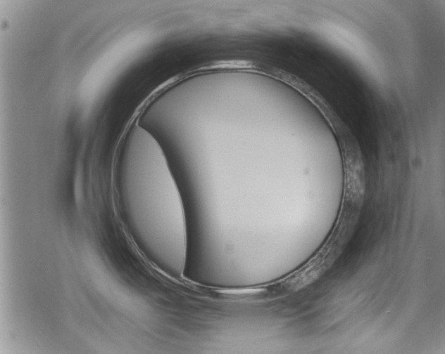 X0000080691487200612150759