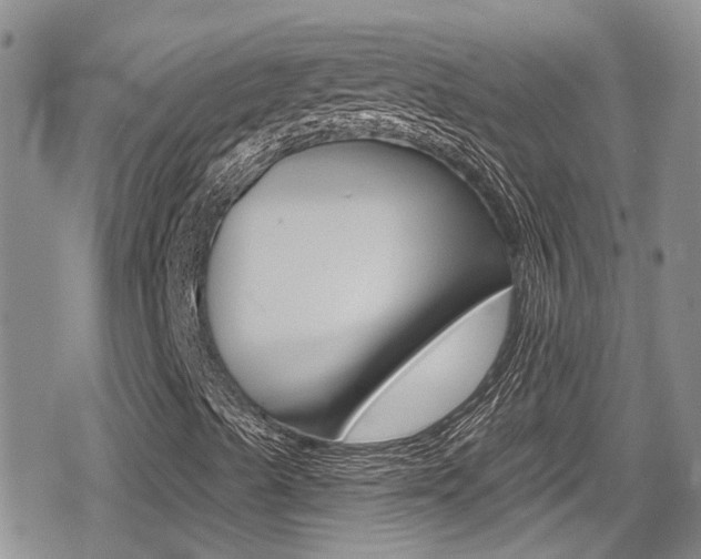 X0000080691489200612150758
