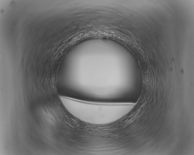 X0000080691490200612150758
