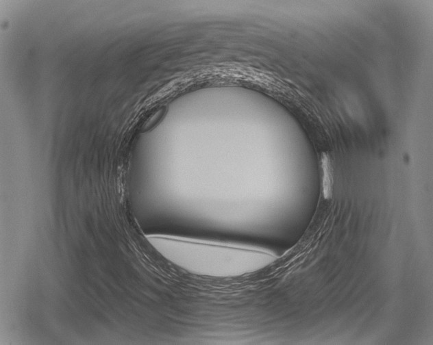 X0000080691491200612150758