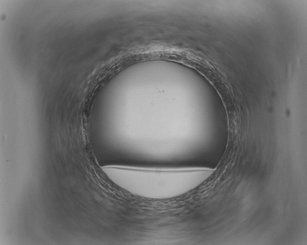 X0000080691493200612150758