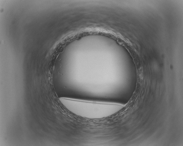 X0000080691495200612150758
