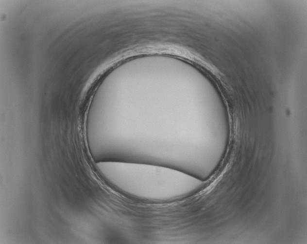 X0000080691498200612150758