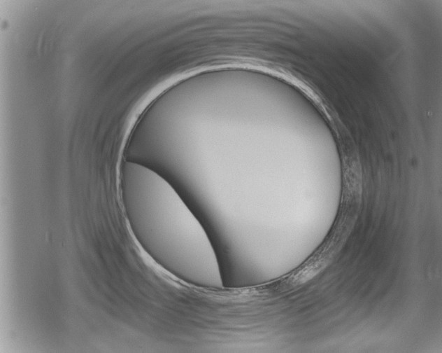 X0000080691535200612150759