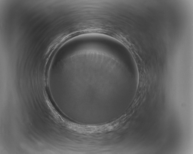 X0000080690002200612151301