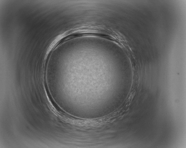 X0000080690003200612151301