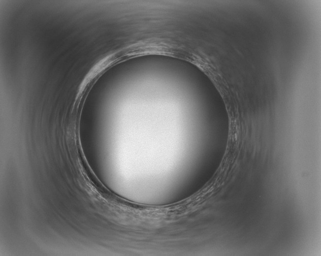 X0000080690004200612151301
