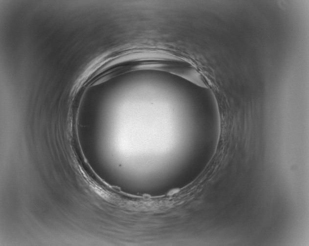 X0000080690005200612151301