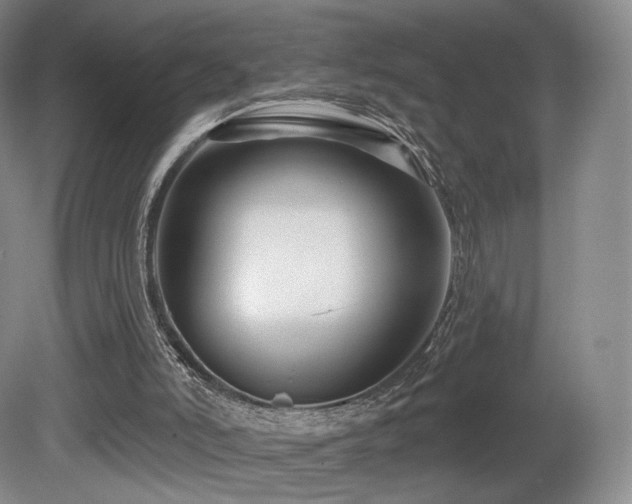 X0000080690006200612151301