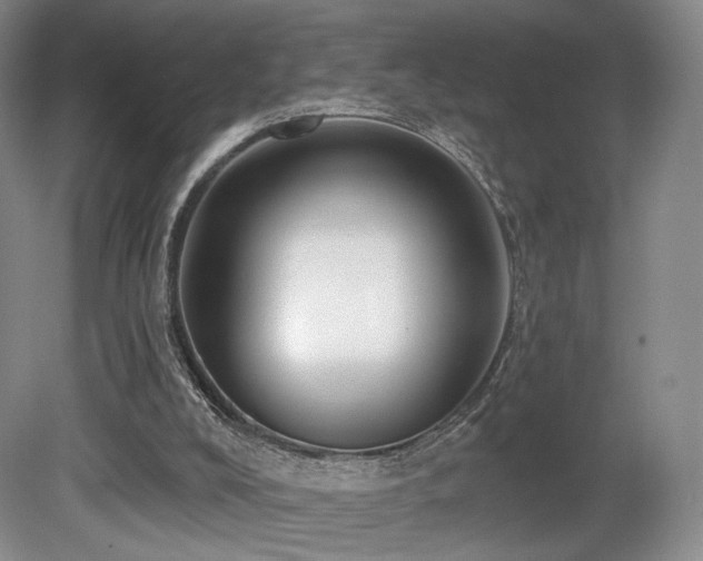 X0000080690008200612151301