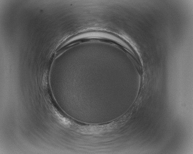 X0000080690009200612151301