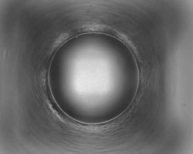 X0000080690010200612151301