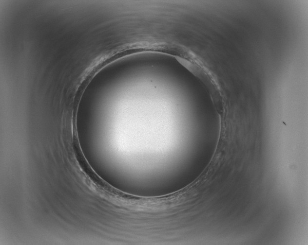 X0000080690011200612151301