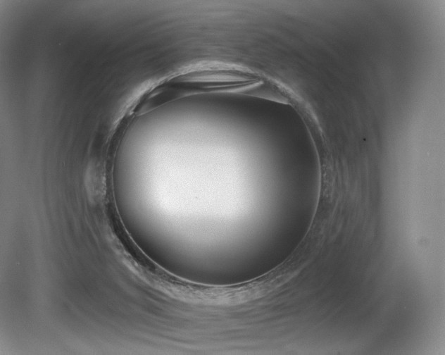 X0000080690015200612151300