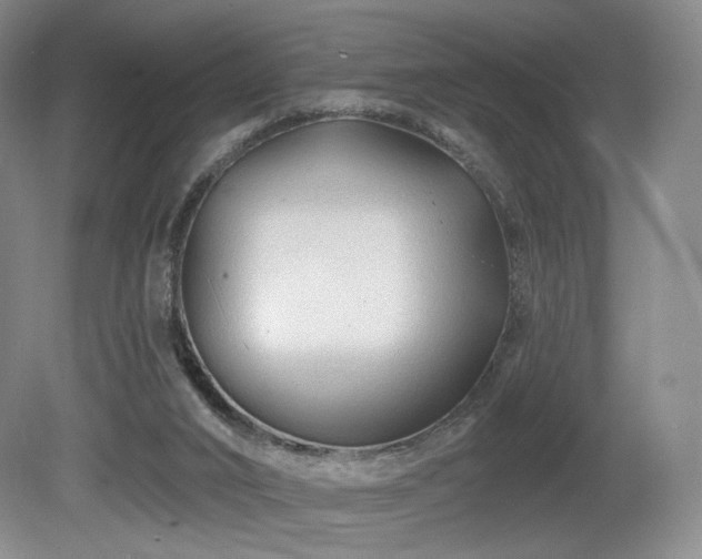 X0000080690016200612151300
