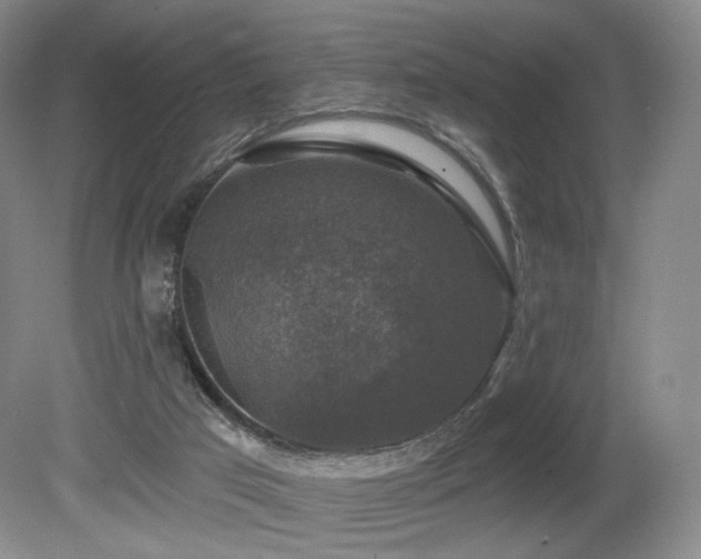 X0000080690017200612151300