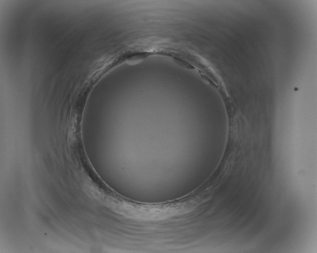 X0000080690018200612151300