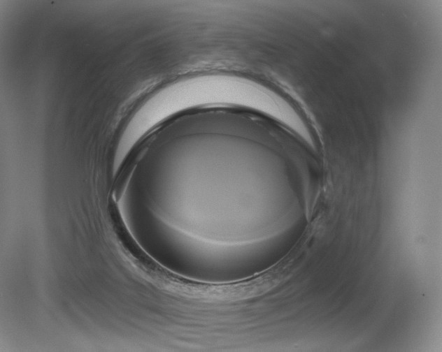 X0000080690019200612151300