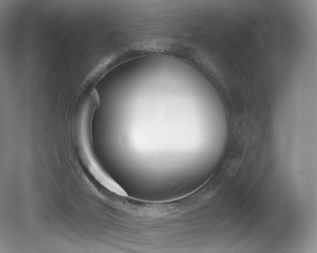 X0000080690020200612151300