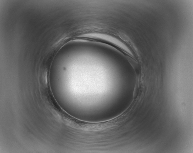 X0000080690021200612151300