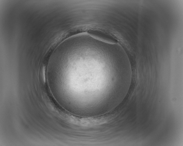 X0000080690022200612151300