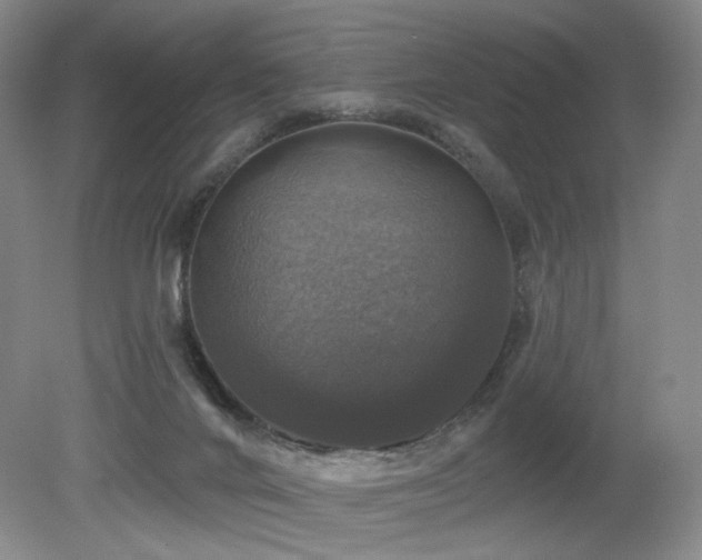X0000080690024200612151300
