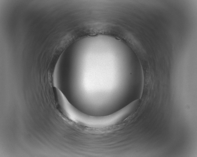 X0000080690025200612151300