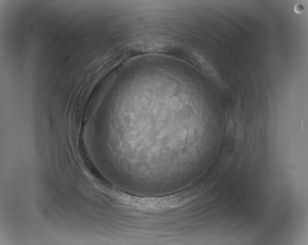 X0000080690026200612151300
