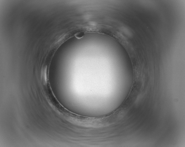 X0000080690028200612151300