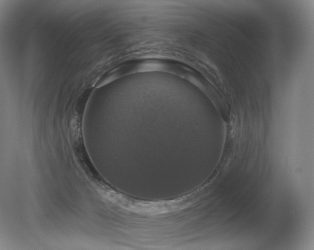X0000080690029200612151300