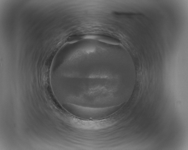 X0000080690030200612151300