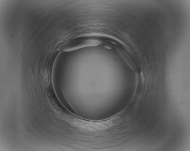 X0000080690031200612151300