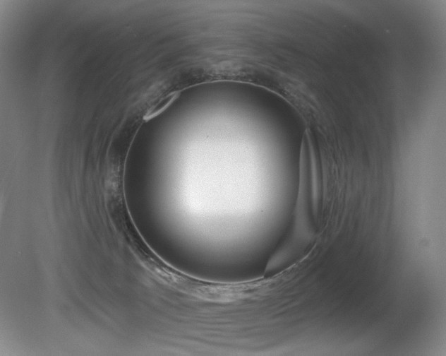 X0000080690033200612151300