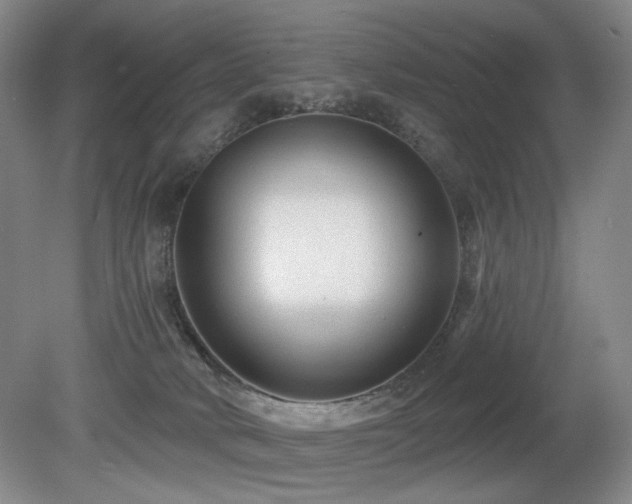 X0000080690034200612151300